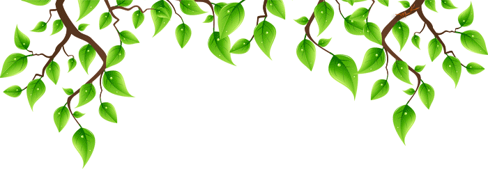 129070892 5152557 vvv337340 1 